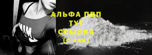 спиды Каменногорск