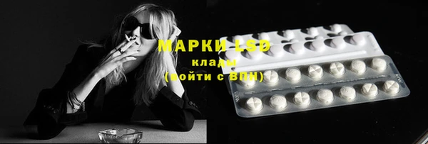 прущие грибы Карталы