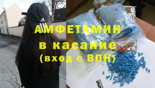 спиды Каменногорск