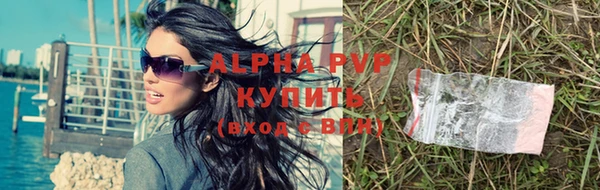 спиды Каменногорск