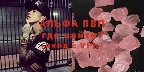 спиды Каменногорск