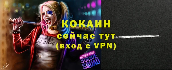 спиды Каменногорск