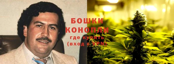 прущая мука Каменка