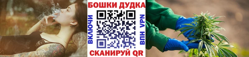 Купить закладки  Себеж  Конопля Amnesia 